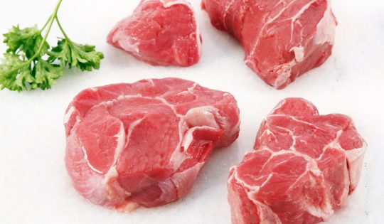 soft-shin-bone-out